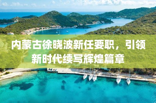 內(nèi)蒙古徐曉波新任要職，引領(lǐng)新時(shí)代續(xù)寫(xiě)輝煌篇章