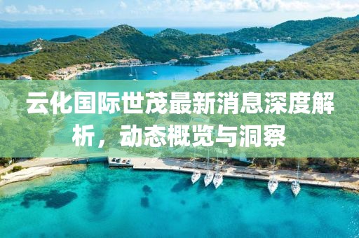 云化國際世茂最新消息深度解析，動態(tài)概覽與洞察