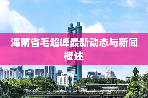 海南省毛超峰最新動態(tài)與新聞概述