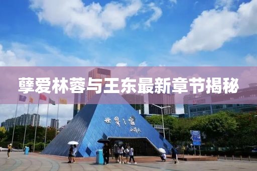 孽愛(ài)林蓉與王東最新章節(jié)揭秘