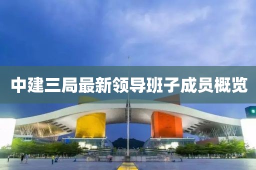 中建三局最新領(lǐng)導(dǎo)班子成員概覽