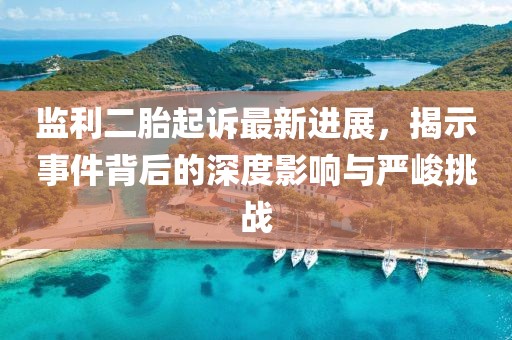 監(jiān)利二胎起訴最新進(jìn)展，揭示事件背后的深度影響與嚴(yán)峻挑戰(zhàn)