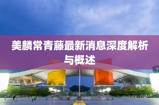 美麟常青藤最新消息深度解析與概述