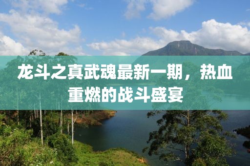 龍斗之真武魂最新一期，熱血重燃的戰(zhàn)斗盛宴