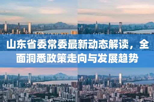 山東省委常委最新動(dòng)態(tài)解讀，全面洞悉政策走向與發(fā)展趨勢(shì)