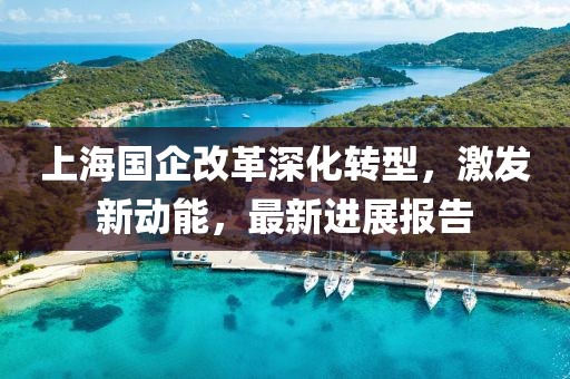 上海國企改革深化轉型，激發(fā)新動能，最新進展報告