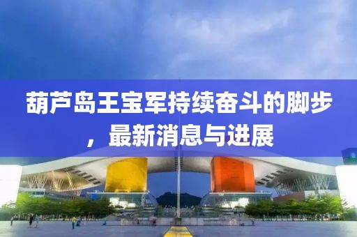 葫蘆島王寶軍持續(xù)奮斗的腳步，最新消息與進展