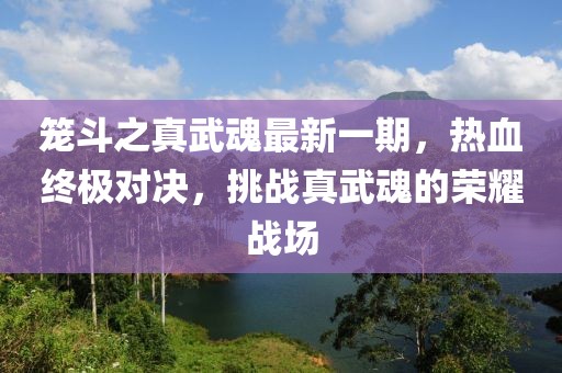 籠斗之真武魂最新一期，熱血終極對決，挑戰(zhàn)真武魂的榮耀戰(zhàn)場