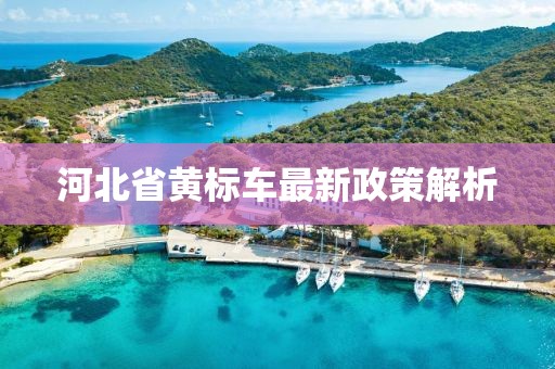 河北省黃標(biāo)車最新政策解析