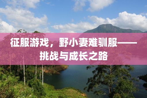 征服游戲，野小妻難馴服——挑戰(zhàn)與成長(zhǎng)之路