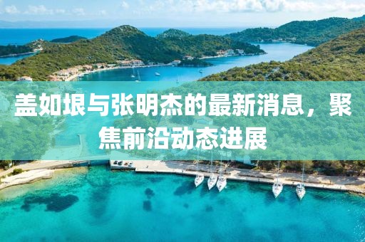 蓋如垠與張明杰的最新消息，聚焦前沿動態(tài)進(jìn)展
