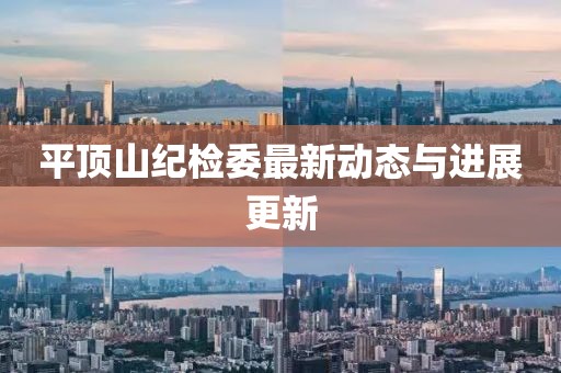 平頂山紀(jì)檢委最新動態(tài)與進(jìn)展更新