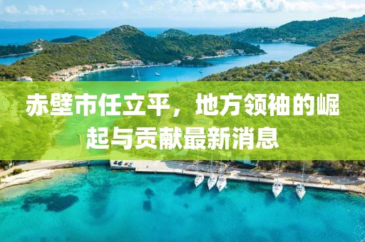 赤壁市任立平，地方領袖的崛起與貢獻最新消息