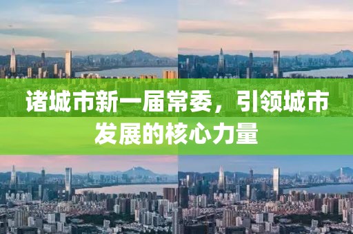 諸城市新一屆常委，引領城市發(fā)展的核心力量