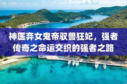 神醫(yī)棄女鬼帝馭獸狂妃，強(qiáng)者傳奇之命運(yùn)交織的強(qiáng)者之路
