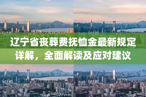遼寧省喪葬費撫恤金最新規(guī)定詳解，全面解讀及應(yīng)對建議