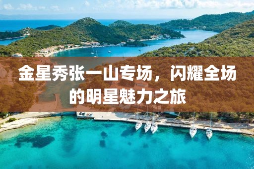 金星秀張一山專場(chǎng)，閃耀全場(chǎng)的明星魅力之旅