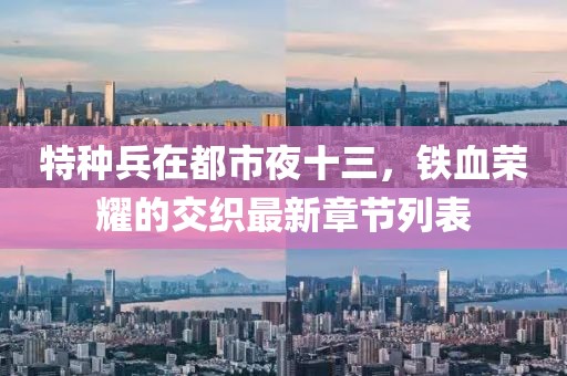 特種兵在都市夜十三，鐵血榮耀的交織最新章節(jié)列表