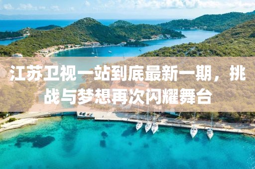 江蘇衛(wèi)視一站到底最新一期，挑戰(zhàn)與夢(mèng)想再次閃耀舞臺(tái)
