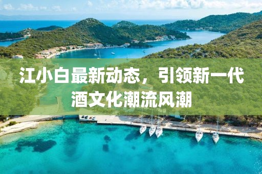 江小白最新動態(tài)，引領(lǐng)新一代酒文化潮流風(fēng)潮