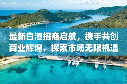 最新白酒招商啟航，攜手共創(chuàng)商業(yè)輝煌，探索市場無限機遇