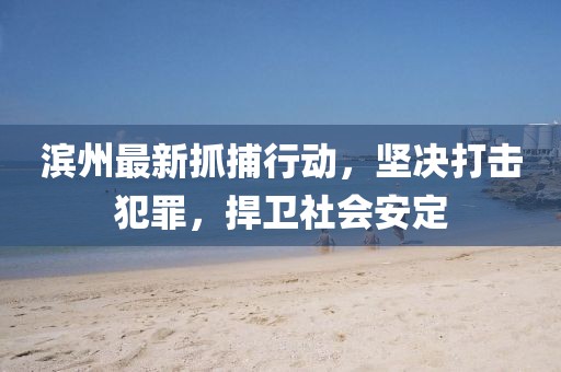 濱州最新抓捕行動(dòng)，堅(jiān)決打擊犯罪，捍衛(wèi)社會(huì)安定