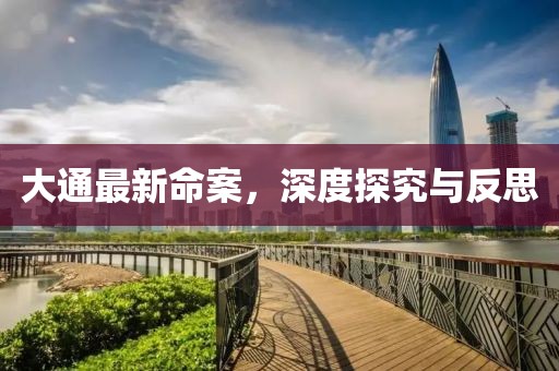 大通最新命案，深度探究與反思
