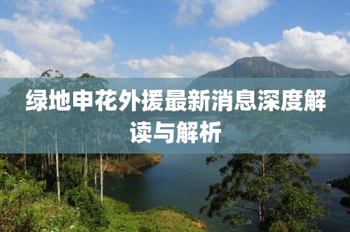 綠地申花外援最新消息深度解讀與解析