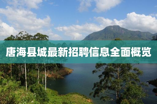 唐?？h城最新招聘信息全面概覽