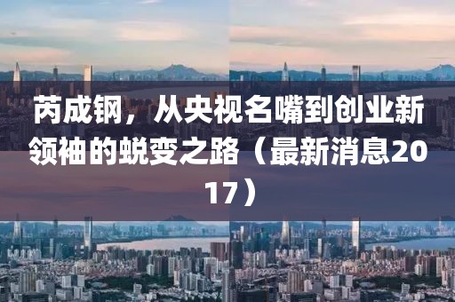 芮成鋼，從央視名嘴到創(chuàng)業(yè)新領袖的蛻變之路（最新消息2017）