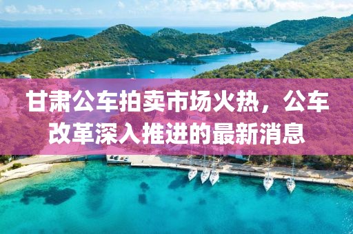 甘肅公車拍賣市場(chǎng)火熱，公車改革深入推進(jìn)的最新消息