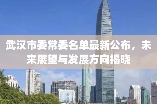 武漢市委常委名單最新公布，未來展望與發(fā)展方向揭曉