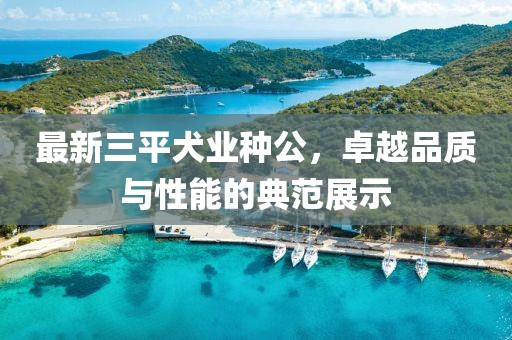 最新三平犬業(yè)種公，卓越品質(zhì)與性能的典范展示