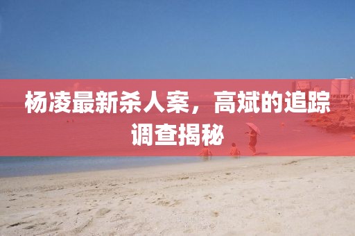 楊凌最新殺人案，高斌的追蹤調(diào)查揭秘