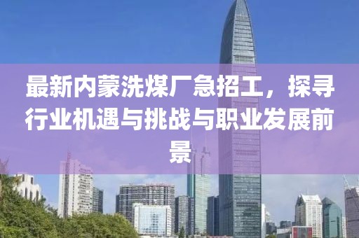 最新內(nèi)蒙洗煤廠急招工，探尋行業(yè)機遇與挑戰(zhàn)與職業(yè)發(fā)展前景