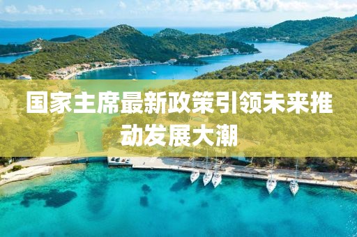 國家主席最新政策引領未來推動發(fā)展大潮