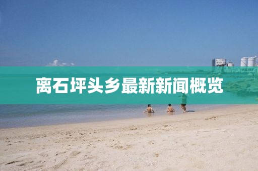 離石坪頭鄉(xiāng)最新新聞概覽