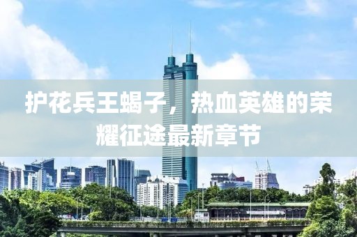 護(hù)花兵王蝎子，熱血英雄的榮耀征途最新章節(jié)