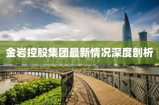 金巖控股集團最新情況深度剖析