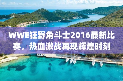 WWE狂野角斗士2016最新比賽，熱血激戰(zhàn)再現(xiàn)輝煌時(shí)刻