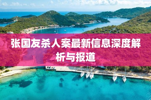 張國友殺人案最新信息深度解析與報道