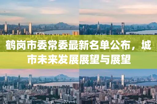 鶴崗市委常委最新名單公布，城市未來發(fā)展展望與展望