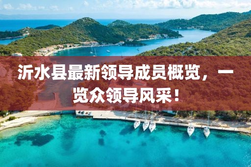 沂水縣最新領(lǐng)導成員概覽，一覽眾領(lǐng)導風采！