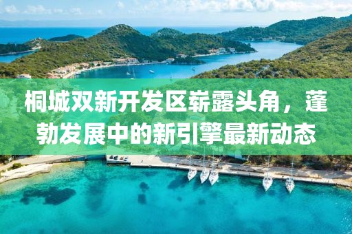 桐城雙新開(kāi)發(fā)區(qū)嶄露頭角，蓬勃發(fā)展中的新引擎最新動(dòng)態(tài)