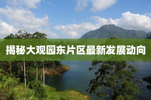 揭秘大觀園東片區(qū)最新發(fā)展動(dòng)向