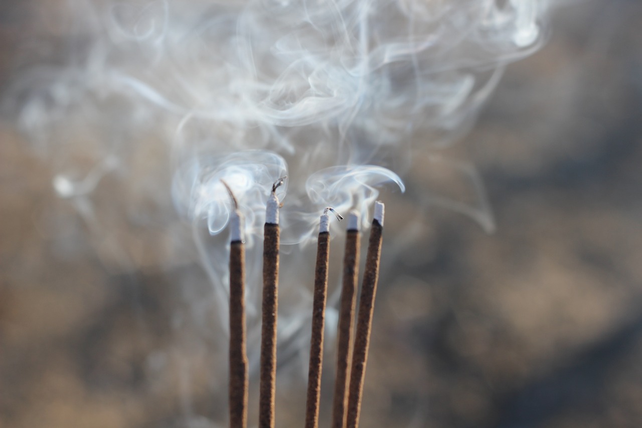 昆山溪香米蘭最新動態(tài)揭秘，最新消息一覽無余