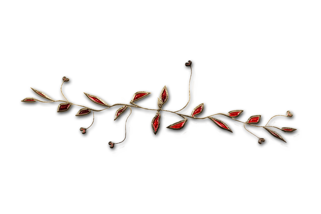 廣西大紅八角產(chǎn)業(yè)蓬勃發(fā)展，前景廣闊，最新消息與動態(tài)
