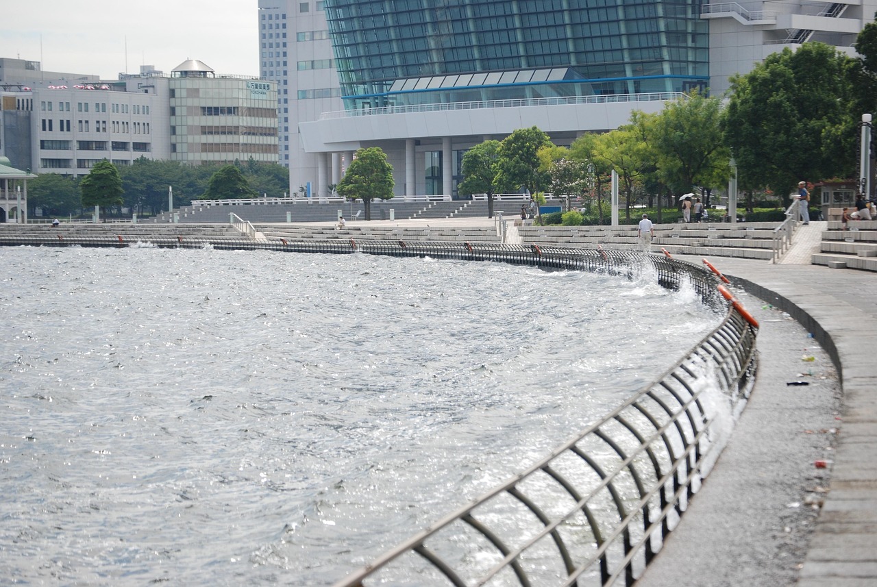 鄭州海昌海洋公園最新動態(tài)揭秘，揭開神秘面紗，展現(xiàn)海洋魅力奇觀